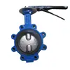 Popular Ductile iron Lug type water double shaft butterfly valve with two stem