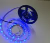 Flexible SMD 3528 led strips with 24V 240 leds/m 5m/roll RGBW with 3 Years warranty