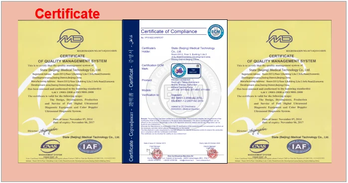 paste-pic-dp_uuid_l1rig