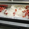 Good Quality and Certified pomegranates washer/walnuts cleaning/dates washing machine