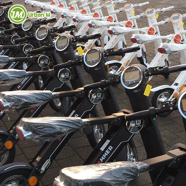 

250w 26Inch Mini Folding Electric Bike, N/a