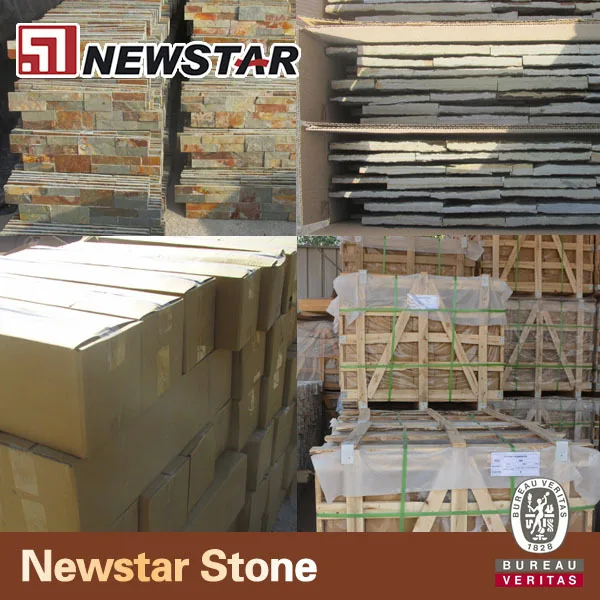 multicolor-culture-slate-stone-wall-panel (4).jpg