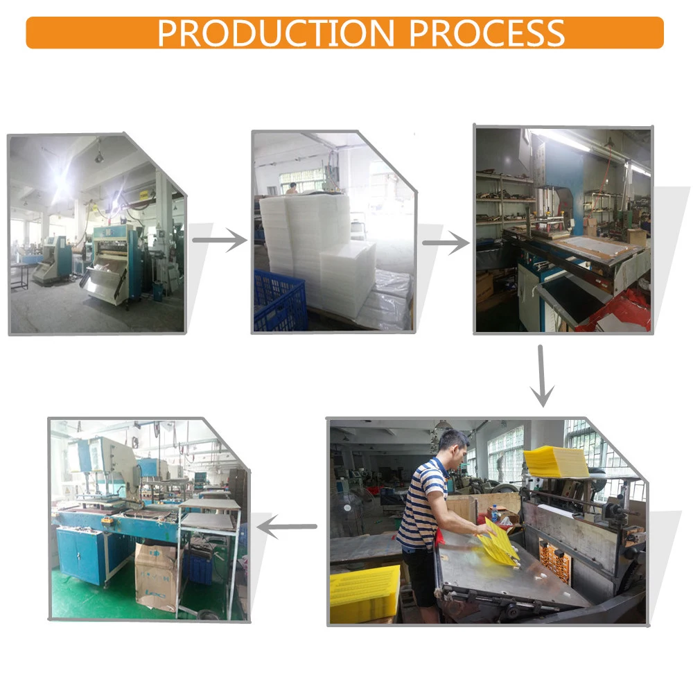 clear plastic folders.jpg