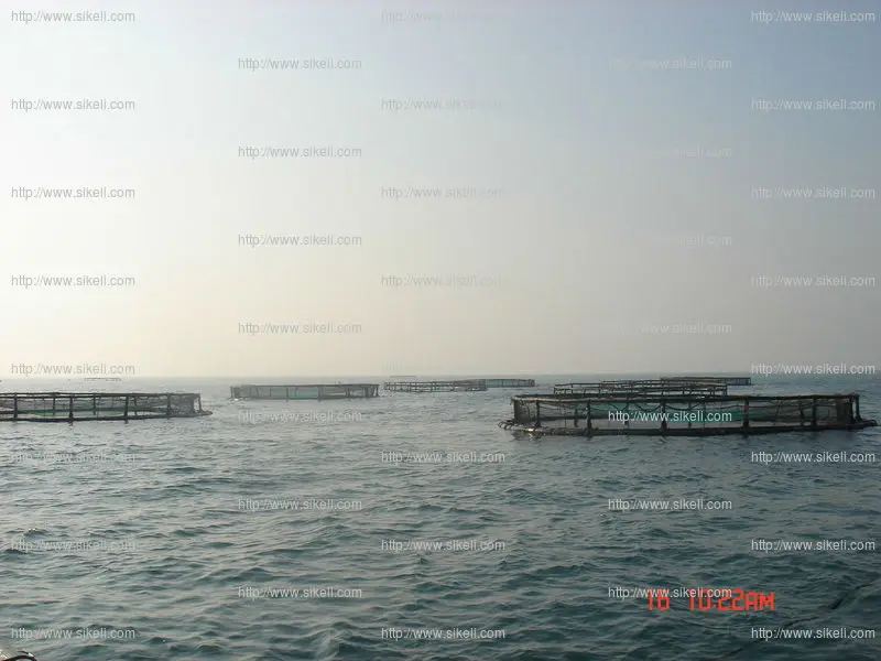 farming aquaculture fish cage