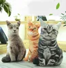 New 3D emoticon simulation cat pillow real cat plush toy dolls funny bed cushion