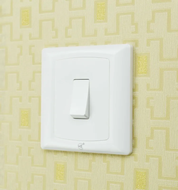 1 gang 2 way switch.jpg