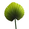 Decorative Real Touch Artificial Green Plants Monsteras Banana Artificial Tropical Leaf Fan Palm Leaves for Sale