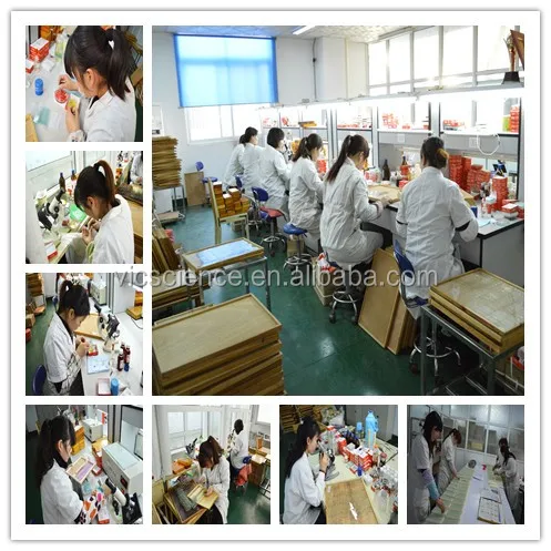 prepared slides..jpg