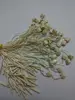 2014 hot sale high quality plastic hang grain