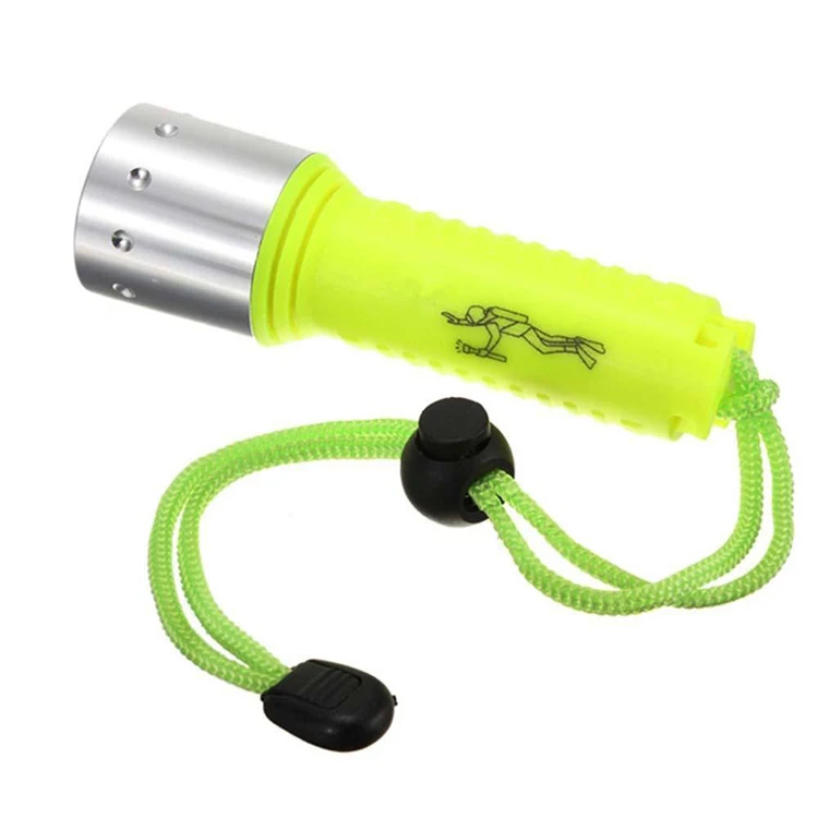 flashlight dive.jpg