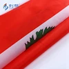 High quality free sample custom windows flag hanging car flags with home flagpole