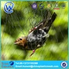 Small order Accepted Monofilament Bird Mist Net Black Pigeon Traping net small bat catching net