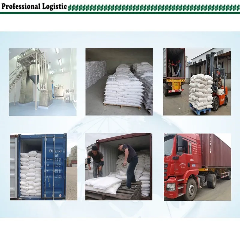 Food grade 99.5% FCC IV Sodium cocoyl glutamate