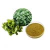 Pure natural herb andrographolide powder andrographis paniculata extract