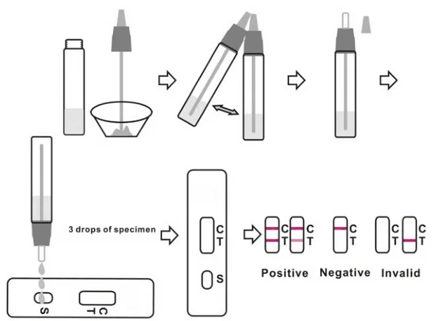 Infectious Disease Stool Diagnostic Rapid Test Rotavirus Antigen Buy