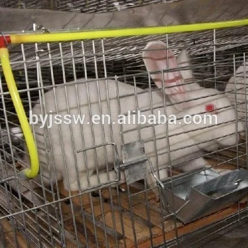 rabbit cage low price
