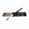 EVAL 100% kolinsky hair oval nail art brush