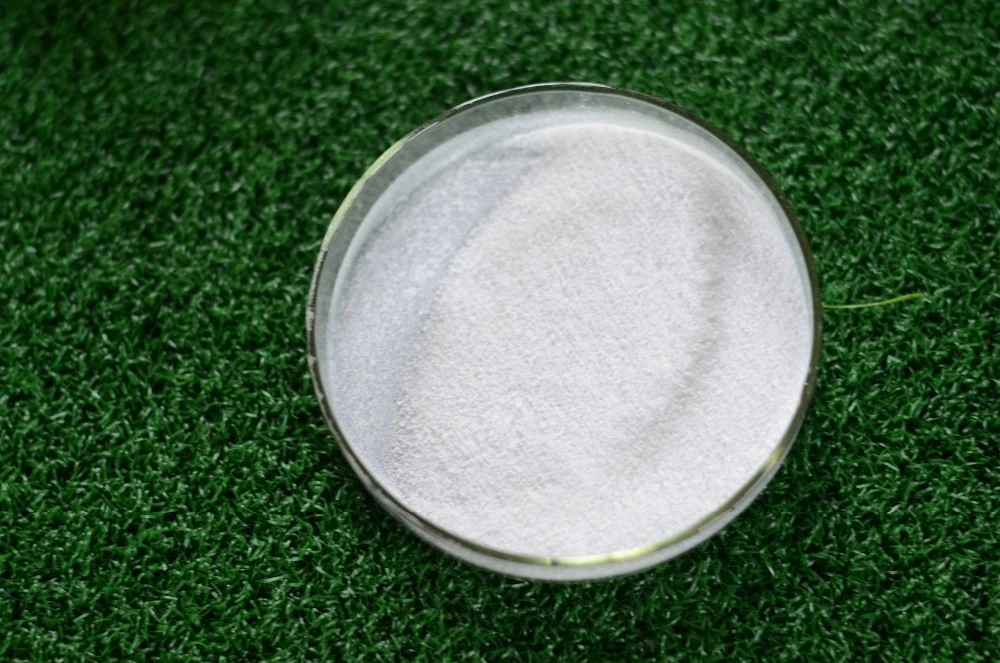 sodium bicarbonate ...JPG