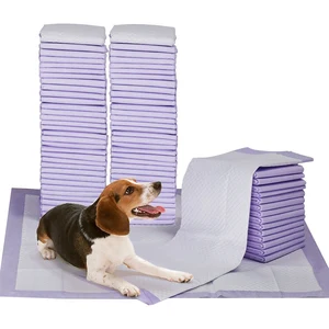 Image of Pad pet for dog training pads