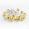 Twinkle Star Garden Ramadan Wedding Party Decor Bar Hanging String Light Ceiling