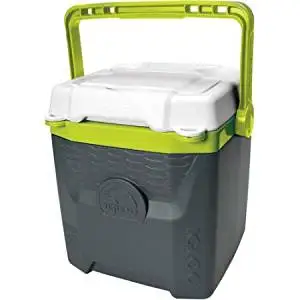 lime green igloo cooler