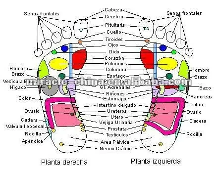 reflexología para próstata y vejiga