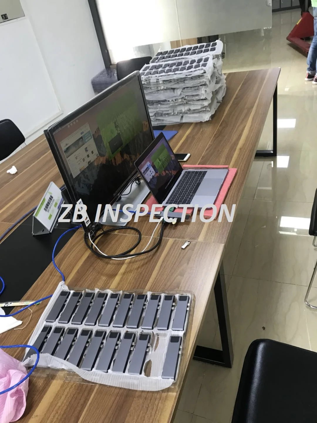 electronic inspection (2).jpg