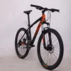 Flying Pigeon Ce Approved Change Speed Giant Mountain Bicycle