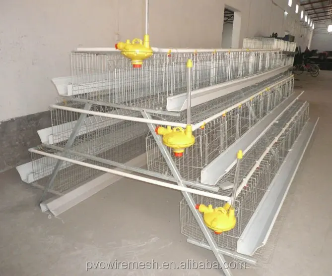 

Best Price 96 Chickens Battery Cage With A type For Sale