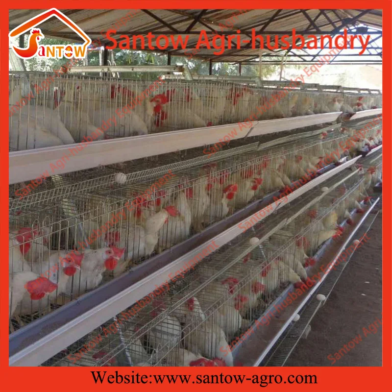A Frame Chicken Layer Cages 3 Tiers Poultry Cage Wood Chicken Coop For