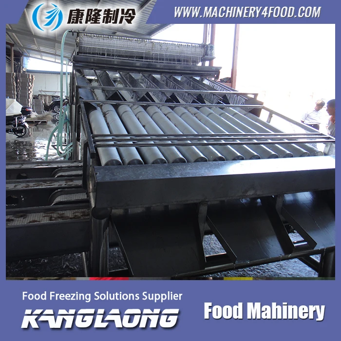 Kualitas tinggi udang dan ikan gradasi mesin untuk ukuran 