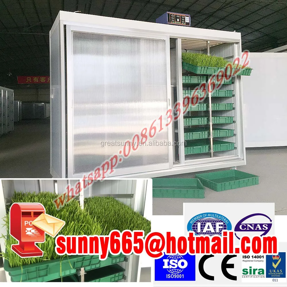 
Growing/sprout machine of seeds large capacity barley malt machine /hydroponic fodder machine(Radish red machine) 