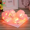 2m 20 led Battery Operated Rose Flower String Lights for Birthday Festival Indoor