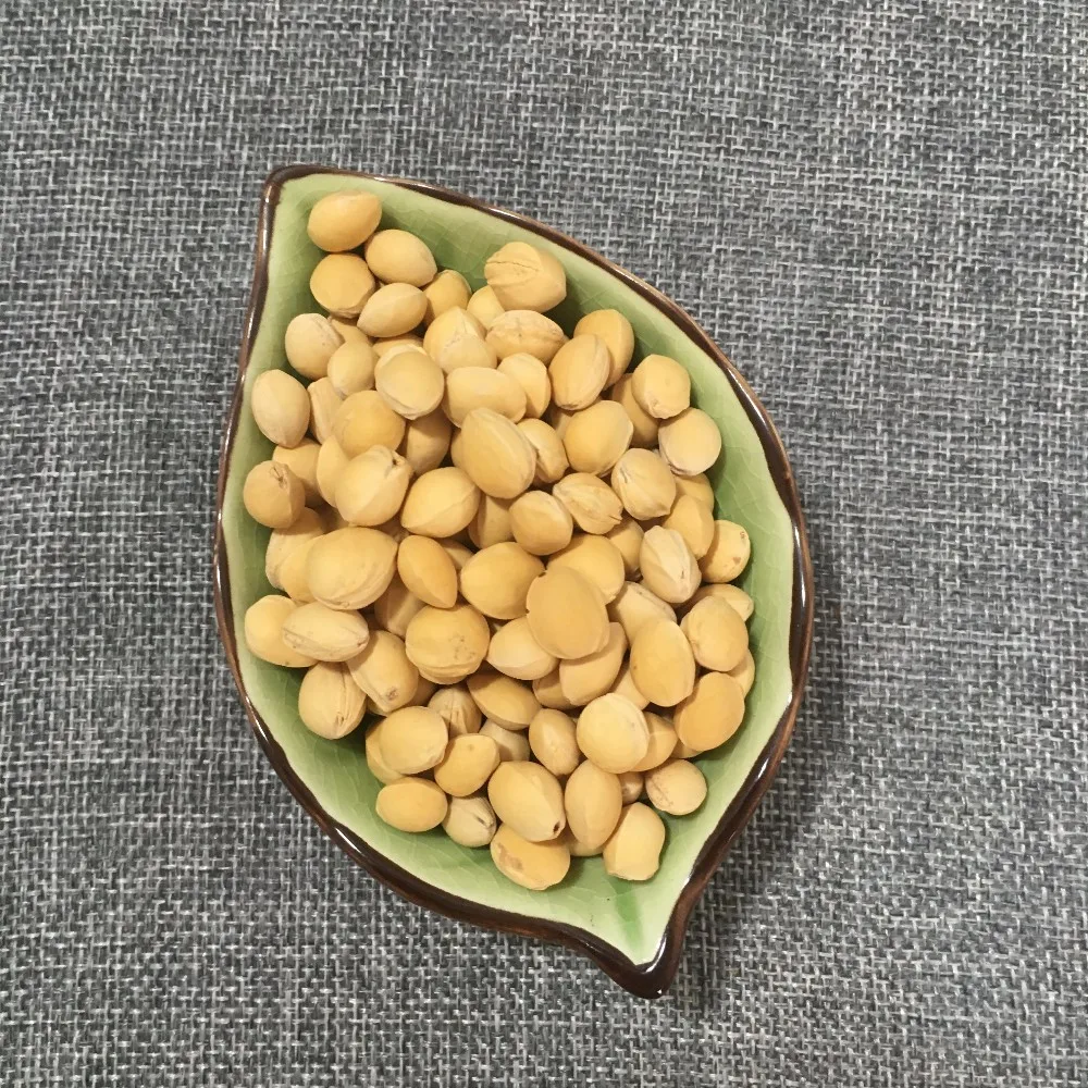 english name cherry stones  moq 200g specification whole fruit