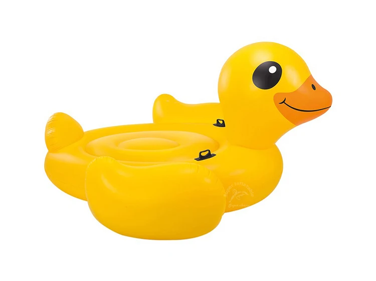 aquaduck pool toy