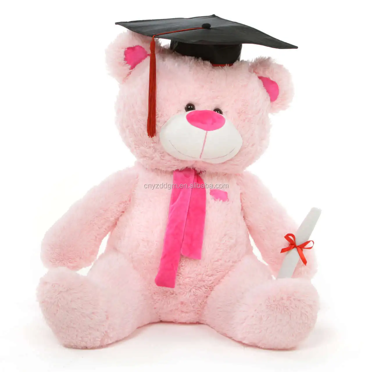 graduation teddy bear walmart