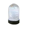 Hot sale Business/gift card water Globe