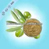 Natural plant extract /Olive Leaf extract 25% Oleuropein