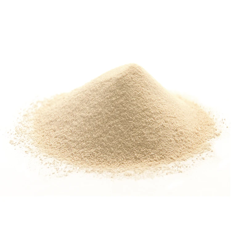 
ThreAMINO L-Threonine Feed Grade 98.5% 