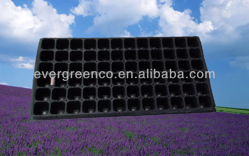 110mm Deep Forestry Seed Tray Plug Tray Buy 110 Deep Seed Germination