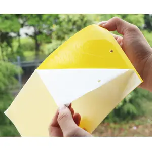 Image of yellow blue fly killer glue board insect killer trap catcher sticky double sided hanging fruit fly trap