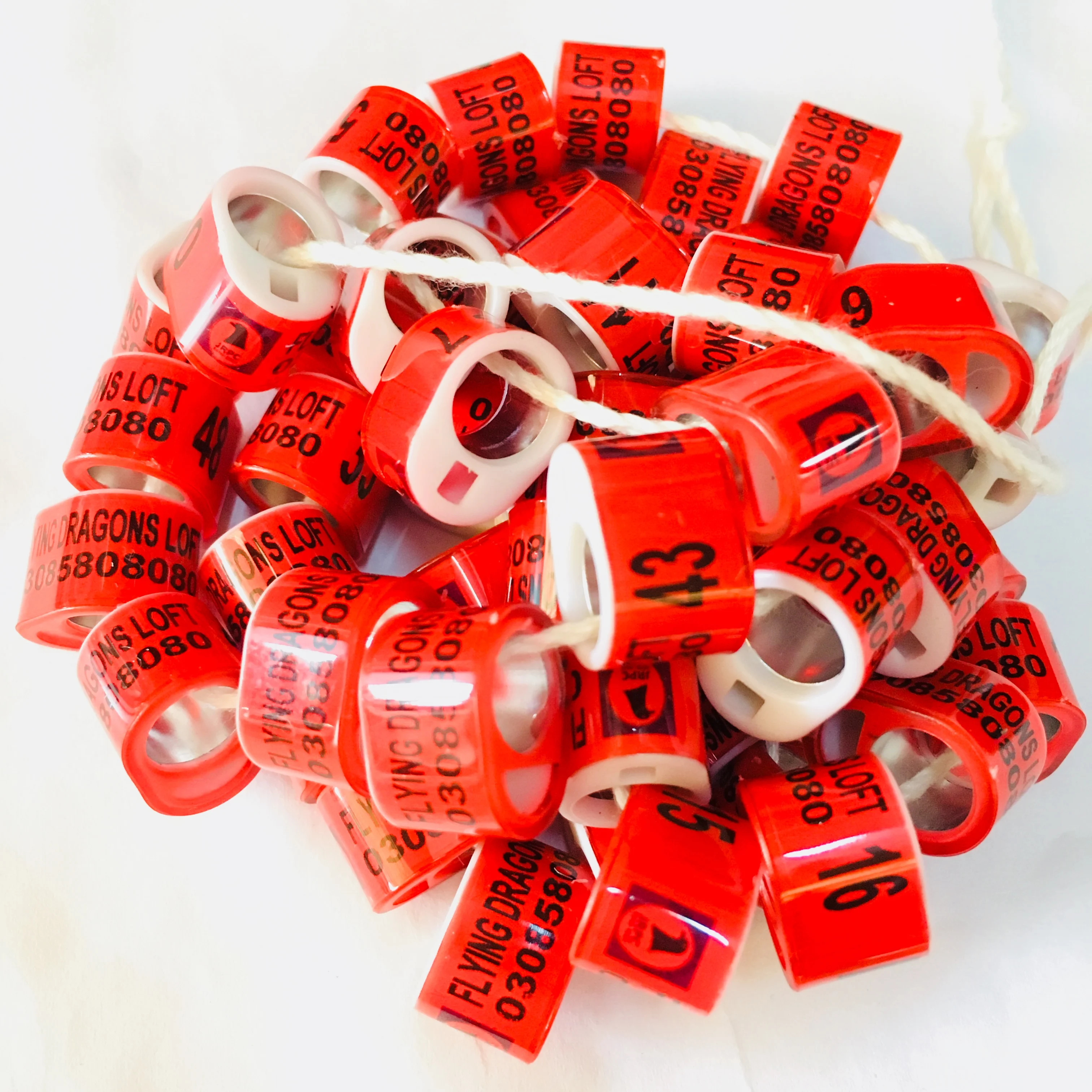 

iComRing core plastic customized BELG pigeon ring perfect design use for homing pigeon lovebirds