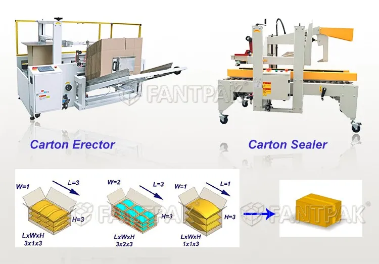 Automatic Case Carton Erector Cardboard Box Forming Machine, View box