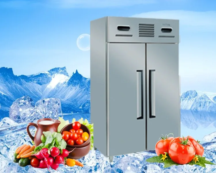 Double Door Commercial Kitchen Meat/vegetable Refrigeration Equipment