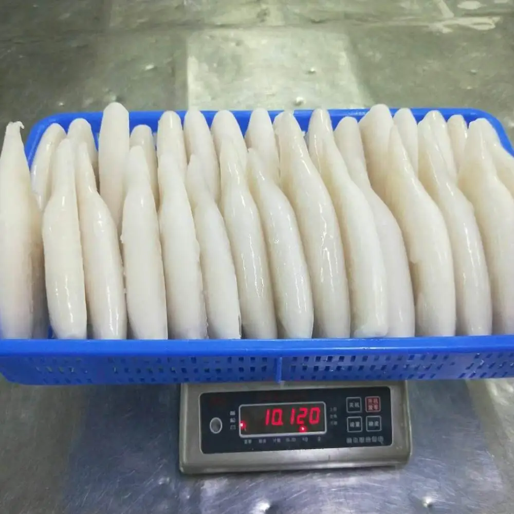 
Frozen Giant Squid Tube U3 U5 