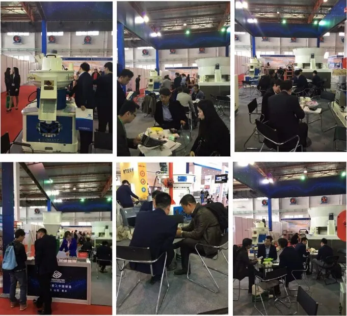 beijing biomass energy exhibition