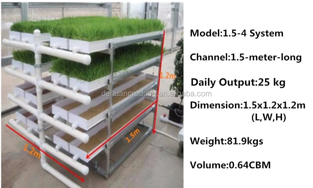 Aquaponic Growing Animal Feed Hydroponics Fodder System Buy Aquaponic