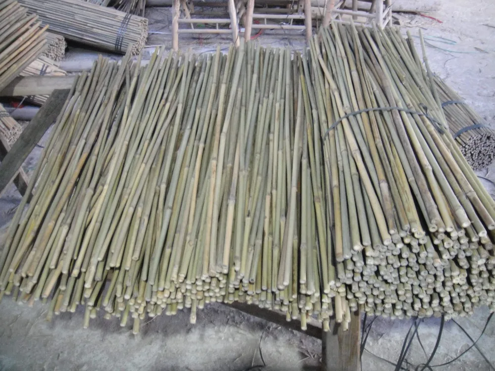 Bamboo Stick For Garden Plant 3' 10--12mm - Buy Bamboo Stick,plant 