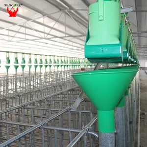 Feeder Pig Sales Feeder Pig Sales Suppliers And Manufacturers At