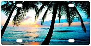 Tropical Paradise Ocean Beach Scene with Palm Trees Novelty License Plate Decorative Front Plate 6 X 12
